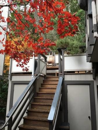 Building Photo - 2411 CARLMONT DR