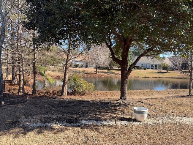 Building Photo - Beautiful Home in Sun City - Freshly Painted, New Flooring!