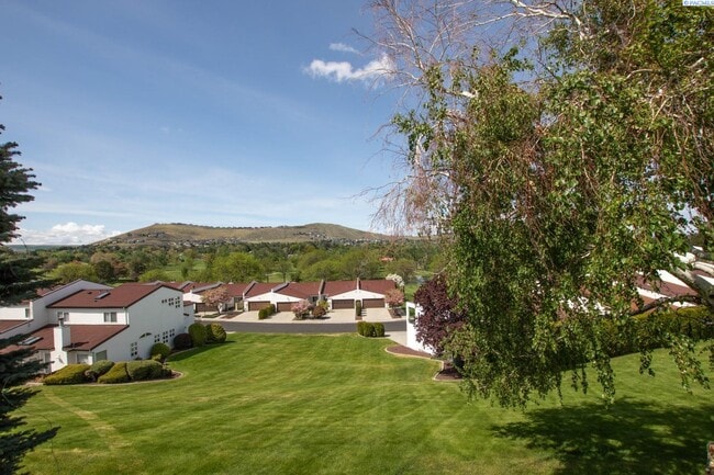 Building Photo - Meadow Springs Condo