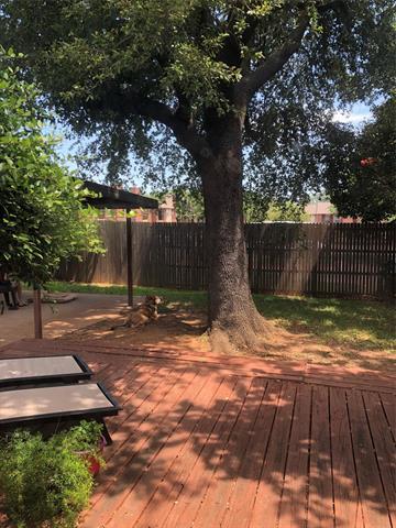 Building Photo - 808 Rock Creek Dr