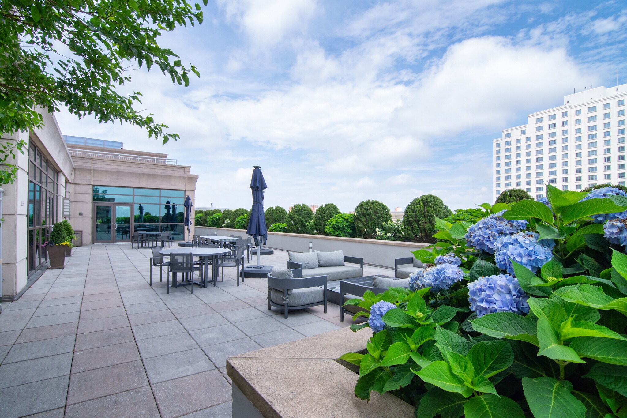 Community Rooftop - 175 Huguenot St