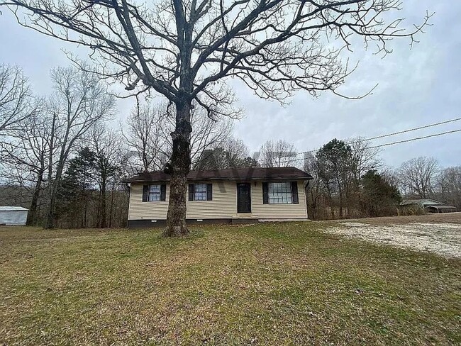 Building Photo - Big Sandy Home