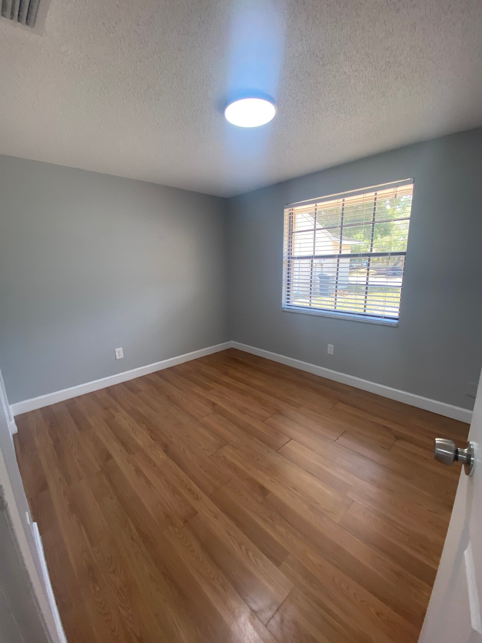 Building Photo - 12703 Alida Pl