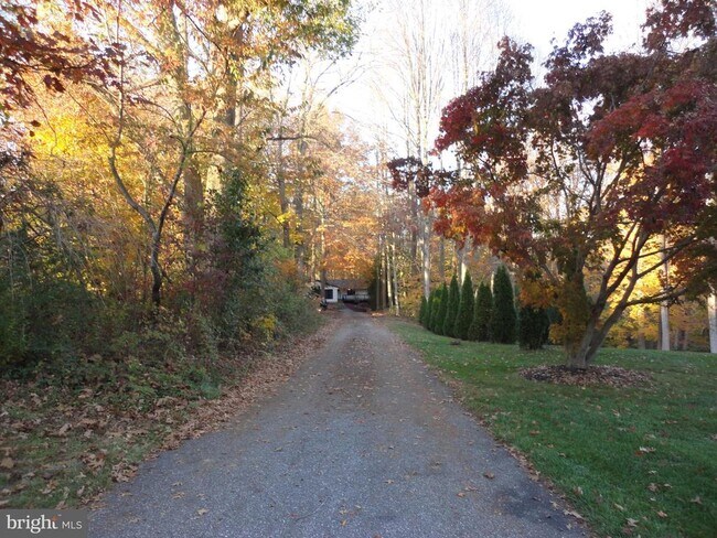 Building Photo - 814 Rustic Ln
