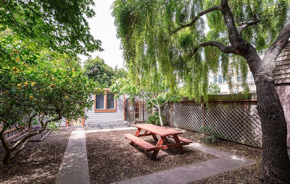 Backyard facing shed - 12 28th St