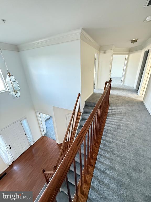 Building Photo - 1403 Northern Lights Dr