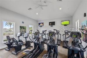 Building Photo - 3446 Suncoast Plains Dr