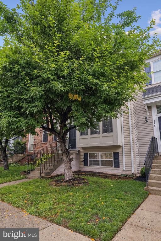 Building Photo - 8233 Ramseur Pl