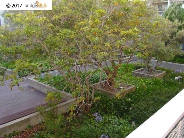 Building Photo - Lovely upgraded studio condo with resort-like amenities at desirable Watergate by the bay!