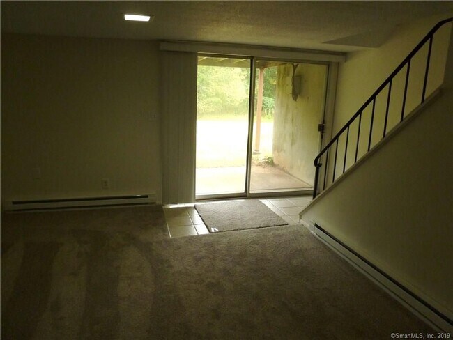 Basement - 213 Baxter Rd