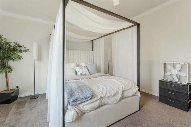 Building Photo - 2806 Old Draw Dr