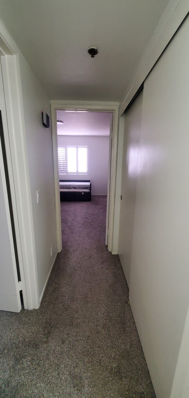 hallway between bathroom and bedroom, with additional closet - 3955 Faircross Plz