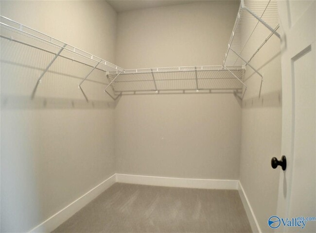 Building Photo - 439 Ripple Lk Dr SW