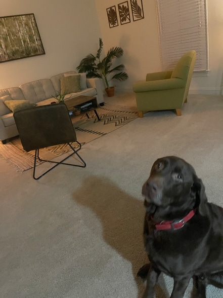 Building Photo - 1015 Heathercroft Cir