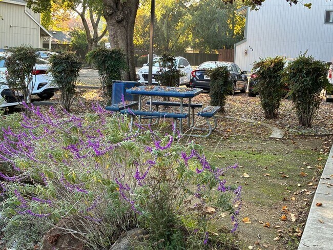 Building Photo - 857 Adams Terrace