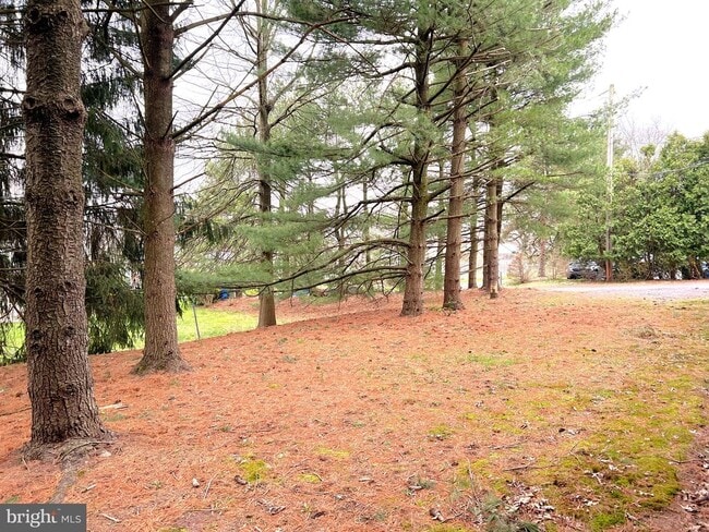 Building Photo - 804A N 7th St