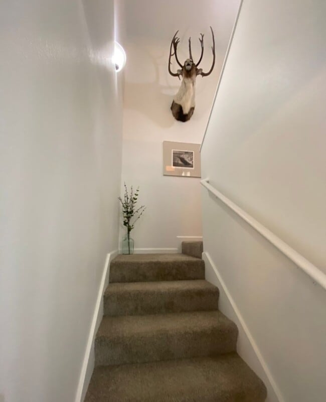 Building Photo - 1100 W Nugget Ave