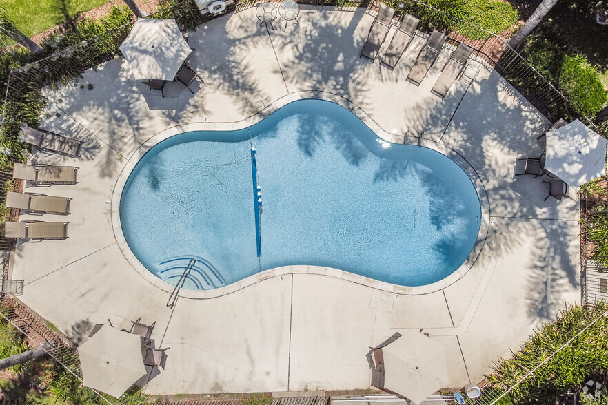 Pool - The Pointe at College Place Apartments