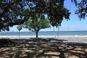 Building Photo - 4007 Bayshore Blvd