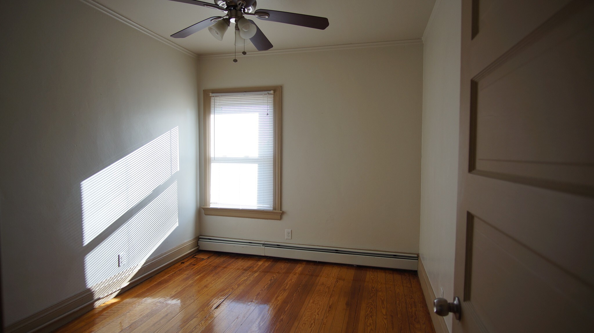 Building Photo - 47 Carolina Ave