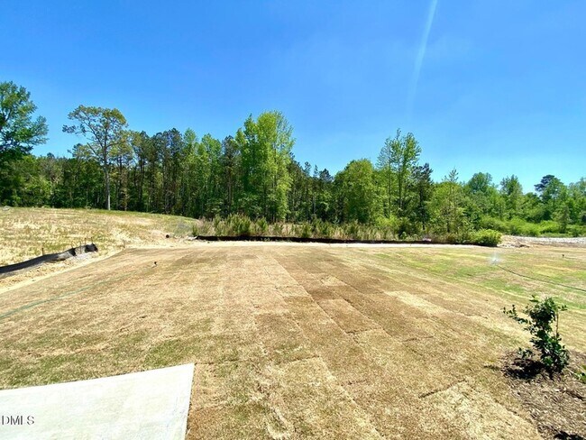 Building Photo - 909 Aspen Pointe Trl