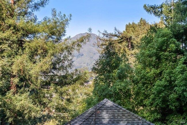 Building Photo - 15 Heuters Ln