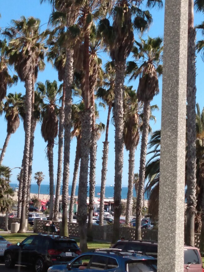 Looking south out to Santa Monica Bay - 2213 Ocean Ave