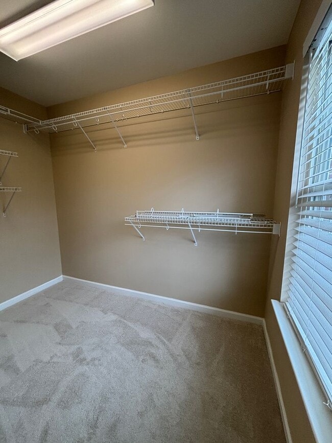 Building Photo - 4465 Olyvia Place