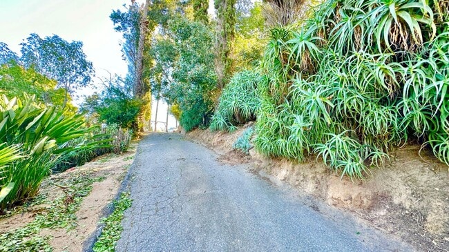 Building Photo - Unique and Rustic Detached Guest Home Unit on Private Country Property Overlooking the Stunning G...