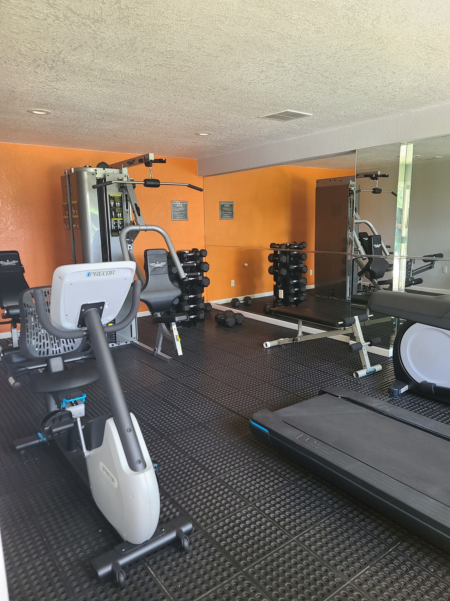 Gym - 222 Thorntree Pl