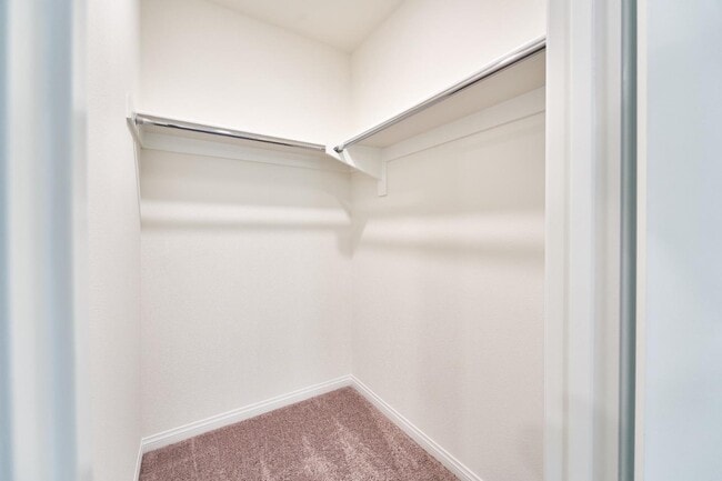 Building Photo - 729 Daniel Freeman Cir