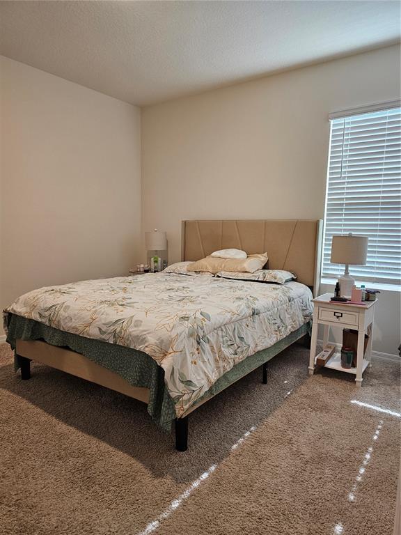 Building Photo - 20000 Royal Tern Ct