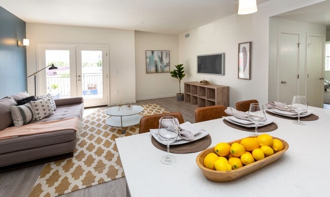 Open Concept Floorplans - Paxton 365