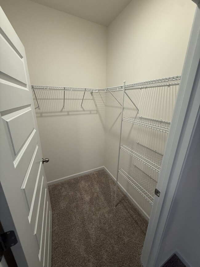 Building Photo - 184 Fair Oak Ln