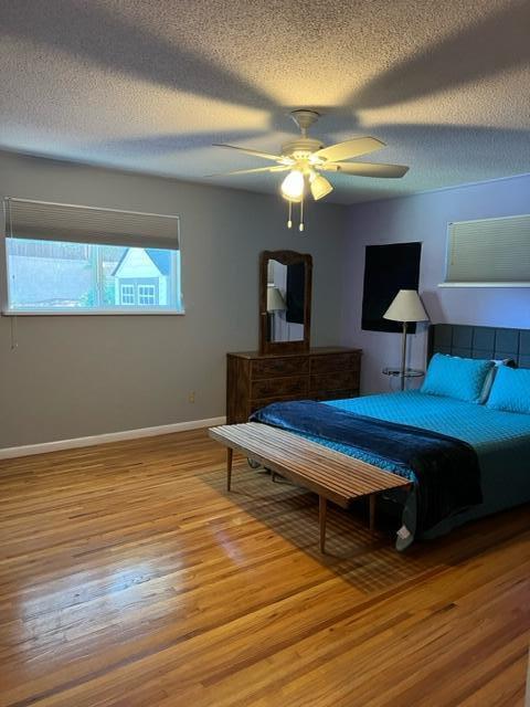 Building Photo - 2408 Cutler Ave NE