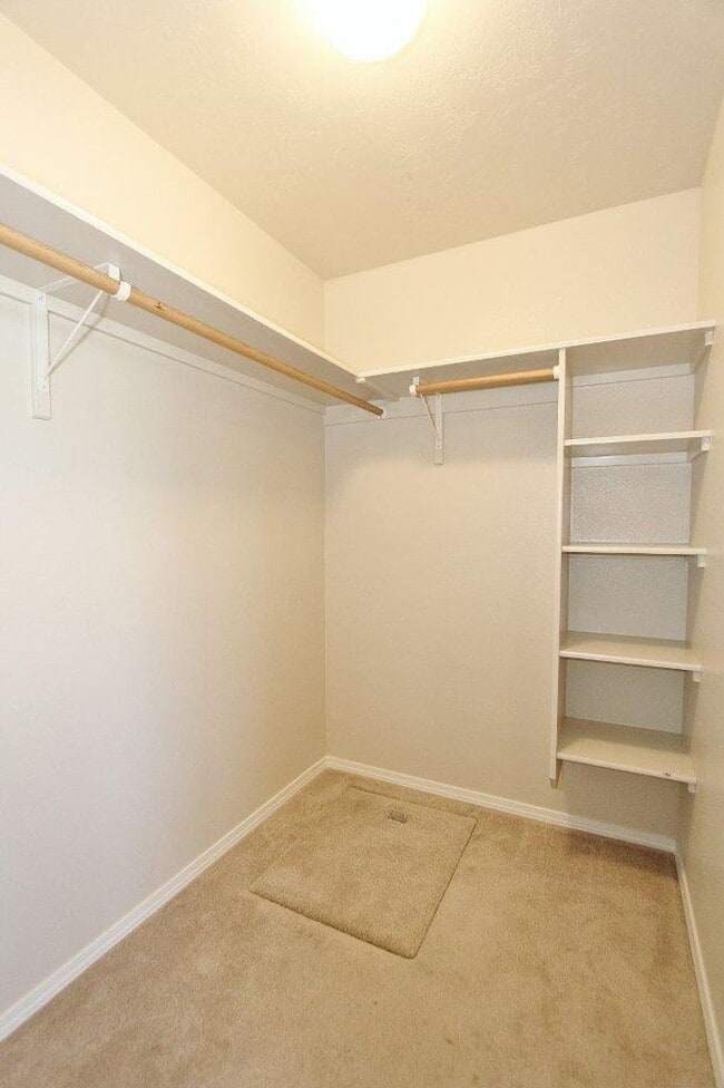 Building Photo - Immaculate Single-Level Home