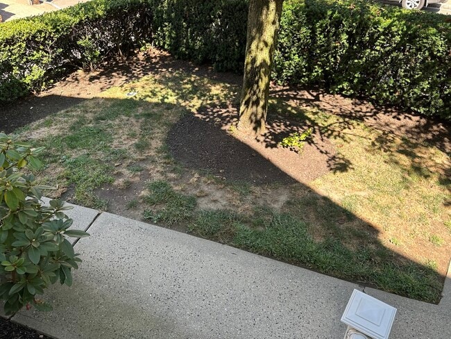 Building Photo - 10 Haviland St