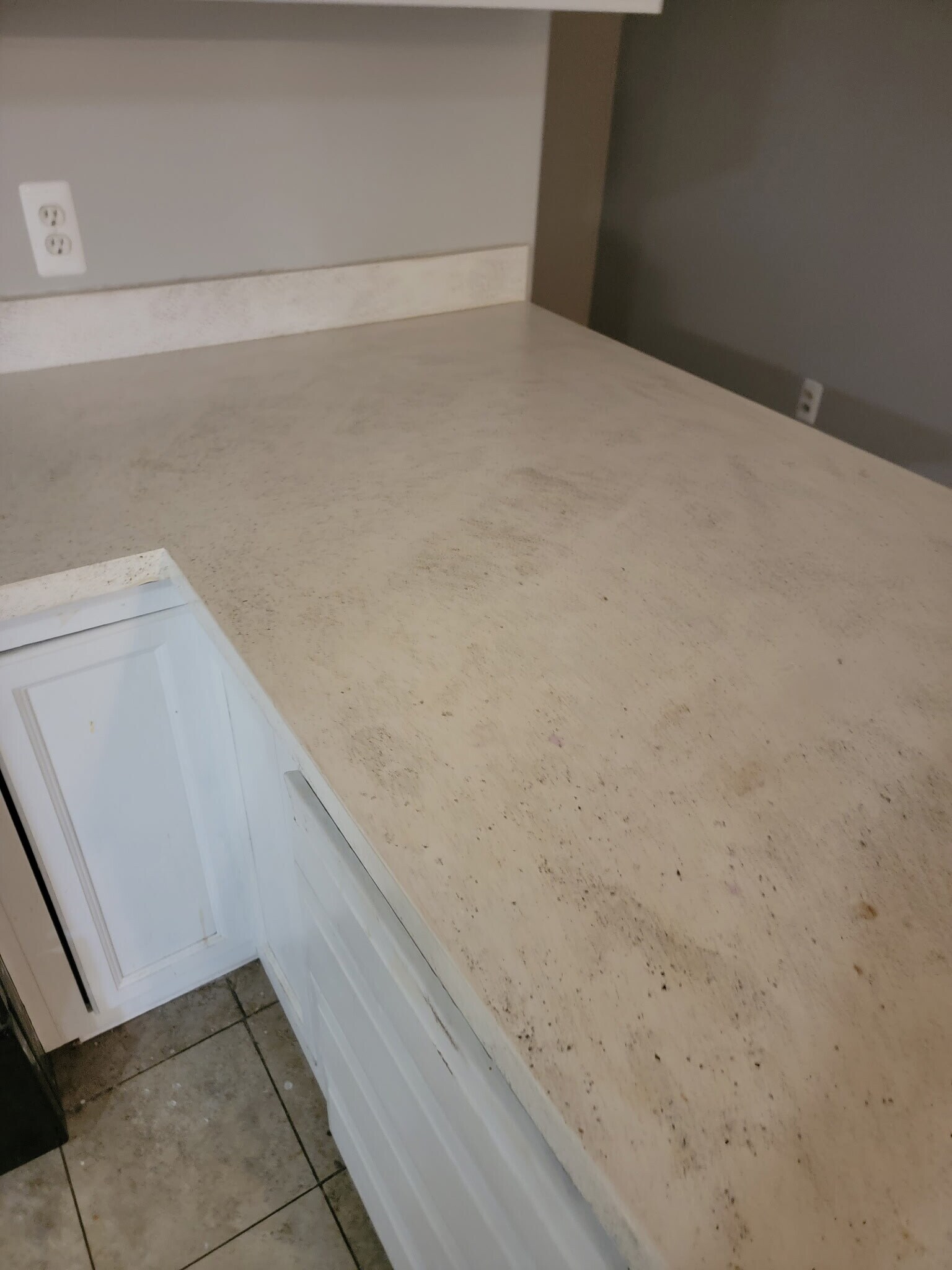 Building Photo - 11708 Locust Dale Ct