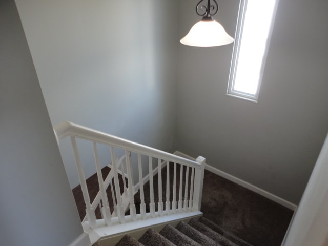 Open stairway - 7960 Bobtail Ct