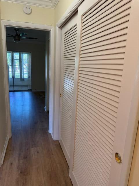 Building Photo - 20 Abbey Ln