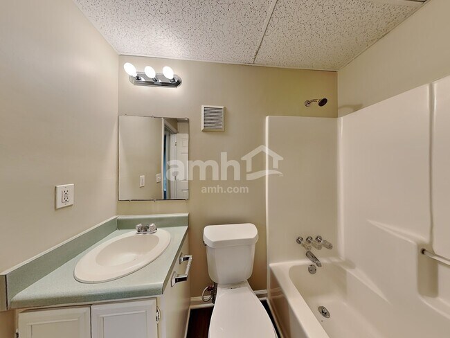 Building Photo - 2708 Horseshoe Creek Drive