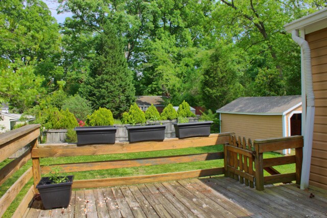 Building Photo - Charming 2 bedroom, 1 bath bungalow with fenced yard in Lakewood