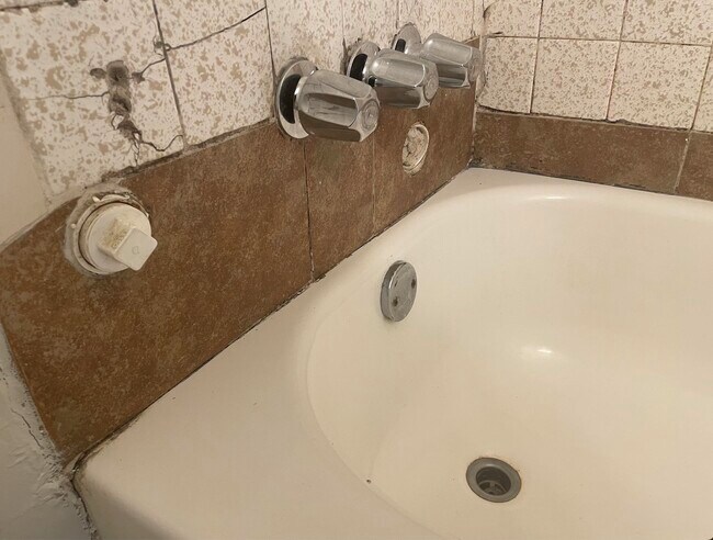 Building Photo - 705 Bustamante St