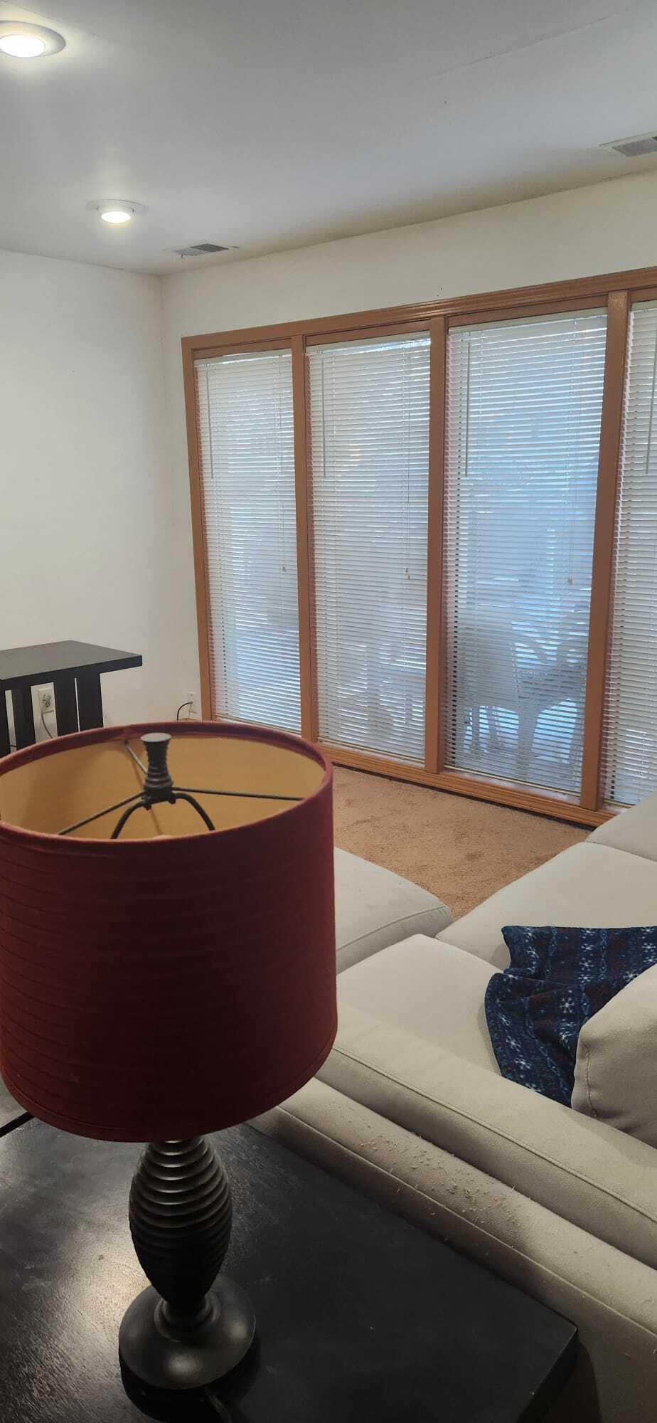 Downstairs Livingroom area 3 - 2116 Thaler Ave