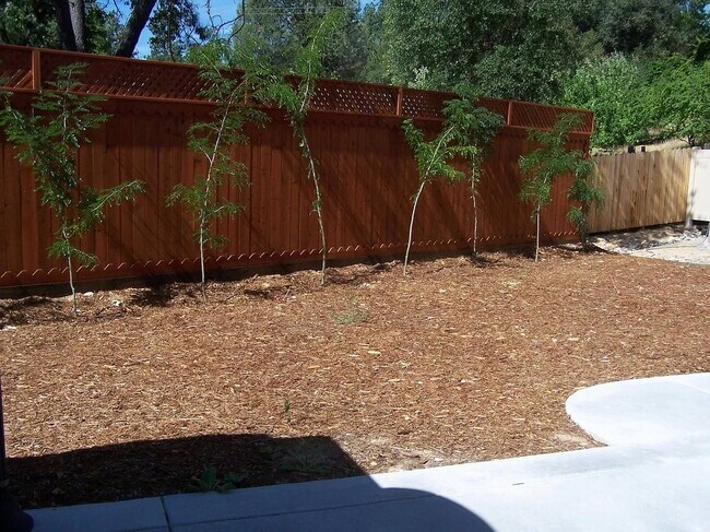 Building Photo - 1043 Diamante Robles Ct