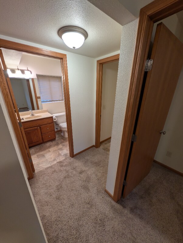 Building Photo - 2316 Damon St