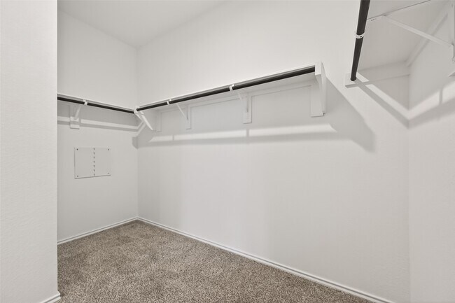 Building Photo - 24721 Majestic Cone Ln