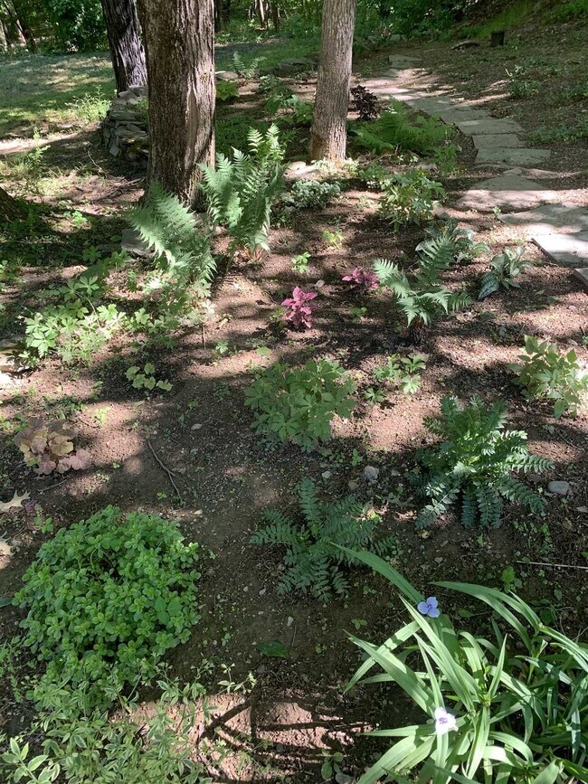 Building Photo - 74 Hilltop Rd