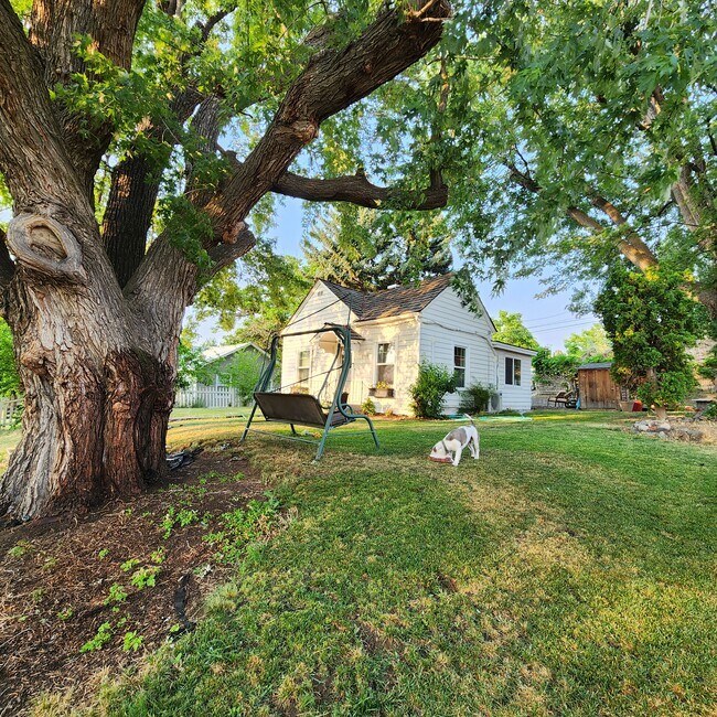 Building Photo - 1018 Court St