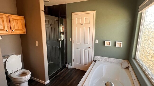 Building Photo - Spacious 4BR House in Fort Collins